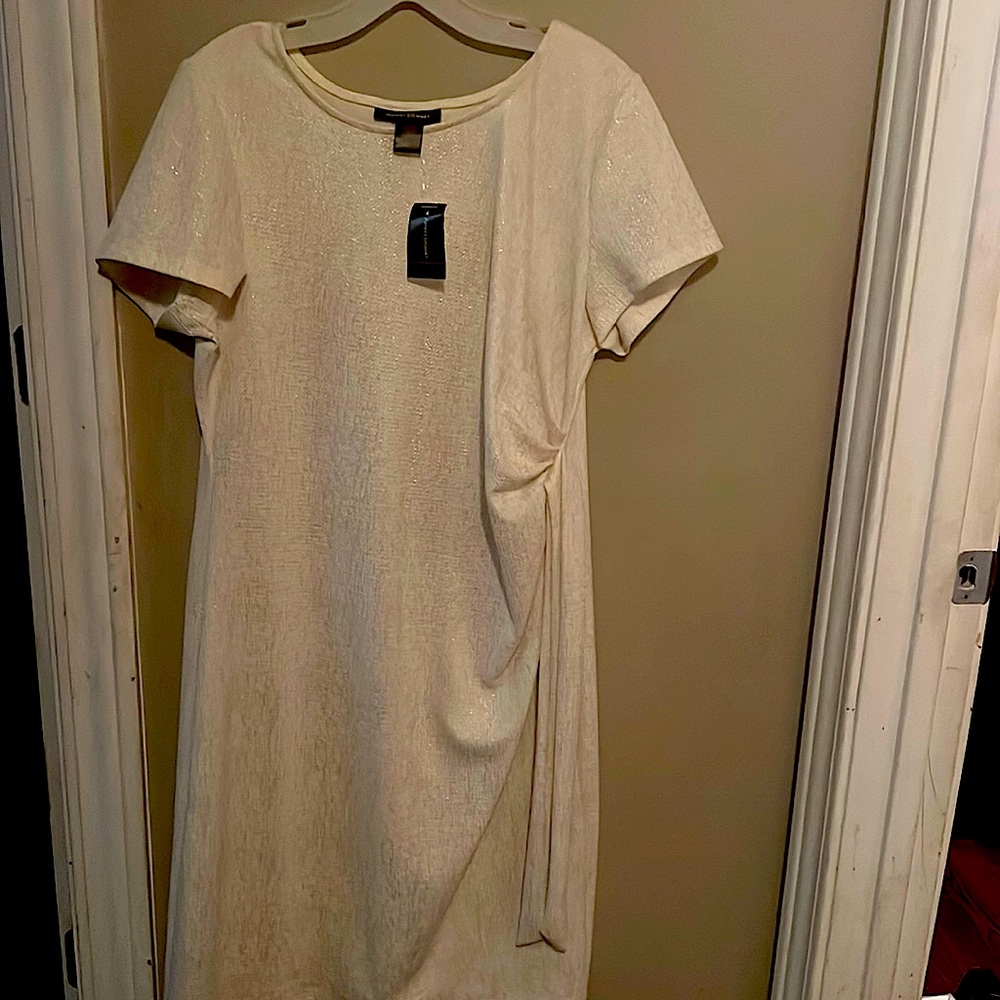 Ashley Stewart Dress